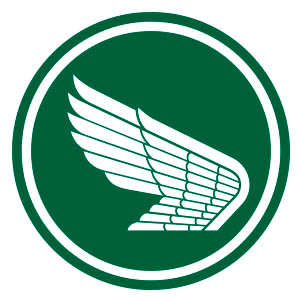 wings - png24t